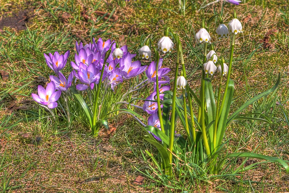 Auf das Bild klicken, um es in der vollen Gre zu sehen.